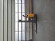 Фото Jungheinrich ERC 216z | Booster Lift