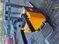 Фото Jungheinrich ERD 220 | Booster Lift