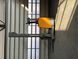 Фото Jungheinrich ETV 214 | Booster Lift